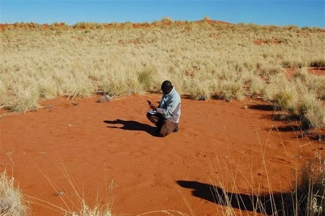 Vòng tròn bí ẩn được người Namibia tin là dấu chân của các vị thần 8