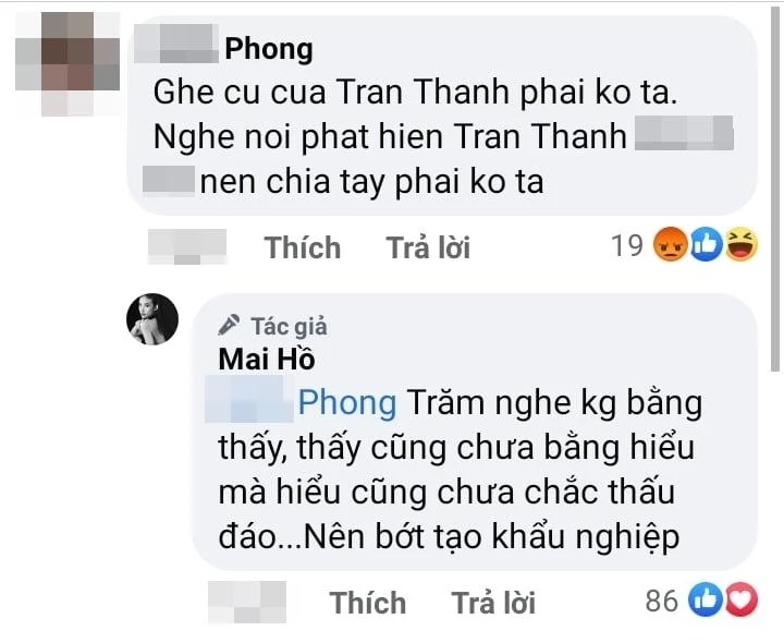 Bình luận 'kém duyên' của một tài khoản FB dưới bài đăng của Mai Hồ - Ảnh: Chụp màn hình