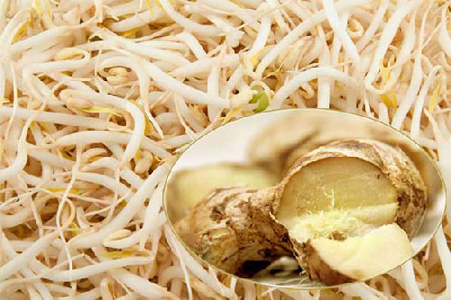 Mách bạn mẹo giữ giá đỗ tươi ngon, không bị thâm đen