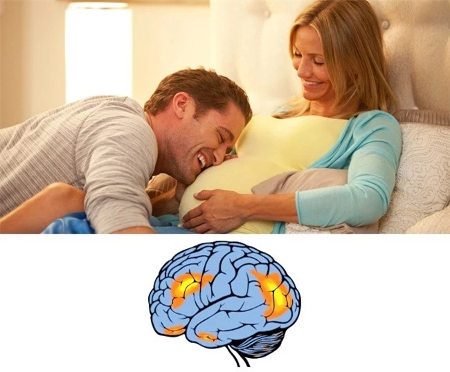 7 thói quen có thể làm thay đổi não bộ hình ảnh 4 7 thoi quen co the lam thay doi nao bo hinh anh 4