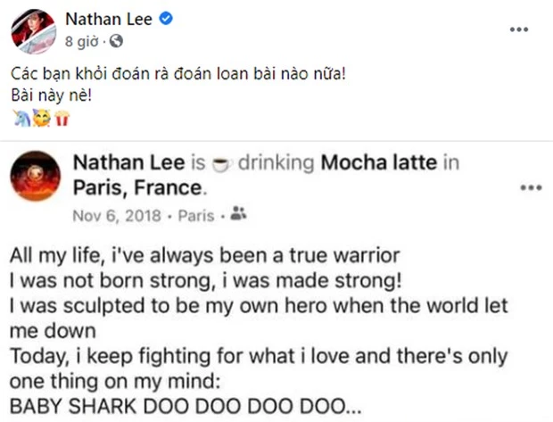 Nathan Lee chốt một câu gây ngỡ ngàng khi được hỏi hợp tác với Ngọc Trinh, có thật là sẽ mua bài Baby Shark? - Ảnh 7.