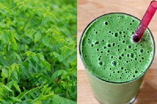 Rau ngót - "thần dược" trị nám không mất tiền