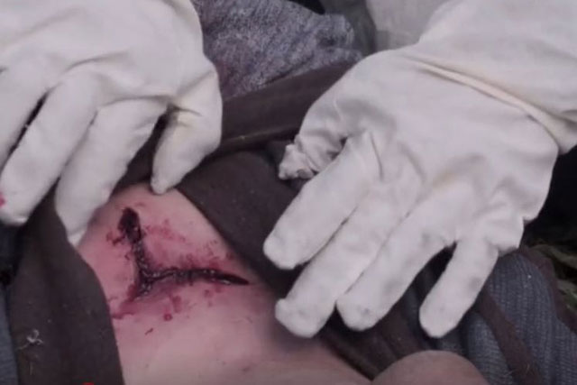 Vụ án chấn động thời Tống: Sử dụng ruồi phá án, chuyên gia pháp y khiến sát nhân 'hành động lạ' tại hiện trường