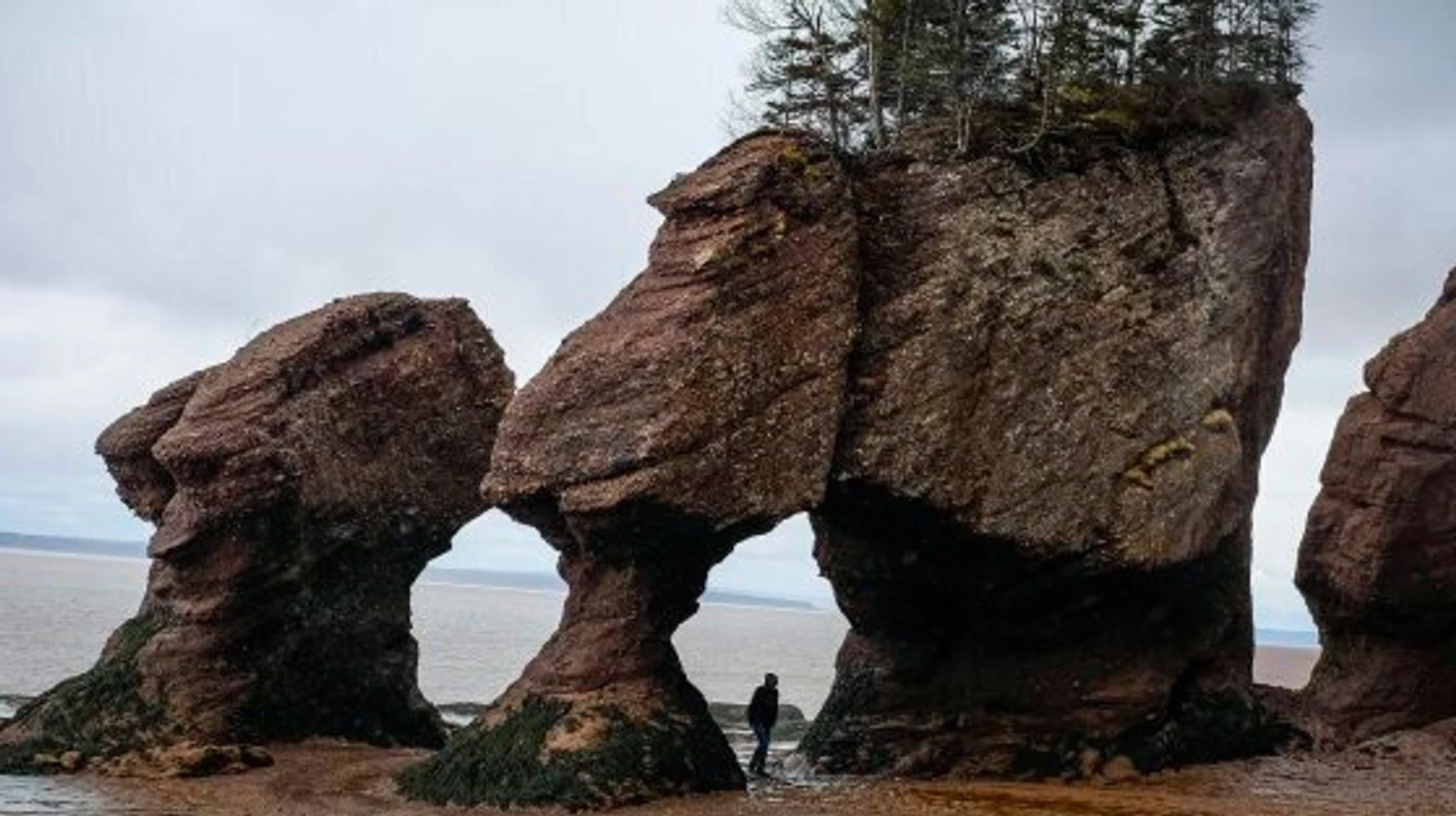 Tảng đá Voi (Canada): Tảng đá này từng rất nổi tiếng với du khách ghé thăm vịnh Fundy (Canada). Tuy nhiên, vào năm 2016, khoảng 200 tấn đá đã đổ xuống đất khiến nơi này mãi mãi không thể trở về hình dạng ban đầu. Theo Cottage Life, tảng đá này và lối đi ở giữa được hình thành nhờ thủy triều. Qua thời gian, nước thủy triều đã bào mòn tảng đá và tạo cho nơi này hình thù đặc biệt. Theo cơ quan chức năng, việc tảng đá này sụp đổ liên quan đến vấn đề xói mòn. Ảnh: Huffpost.