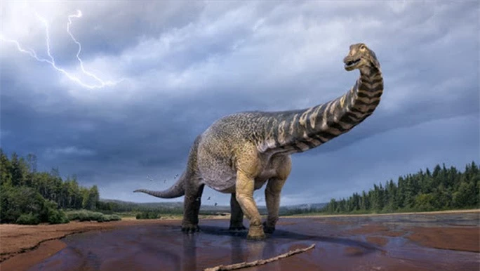 Phát hiện hóa thạch gây sốc của loài siêu quái thú nặng 74 tấn - Ảnh 1.