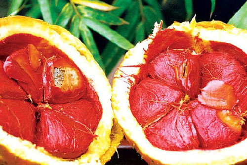 Da đẹp mịn màng với hạt gấc có thể bạn chưa biết