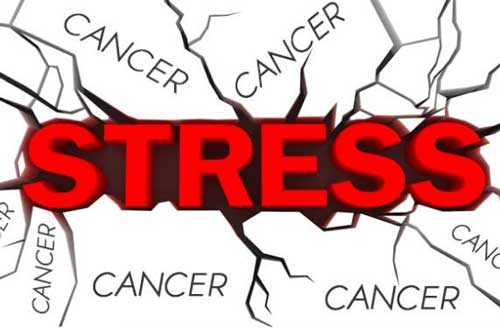 Ngăn chặn stress có thể hỗ trợ điều trị bệnh ung thư?