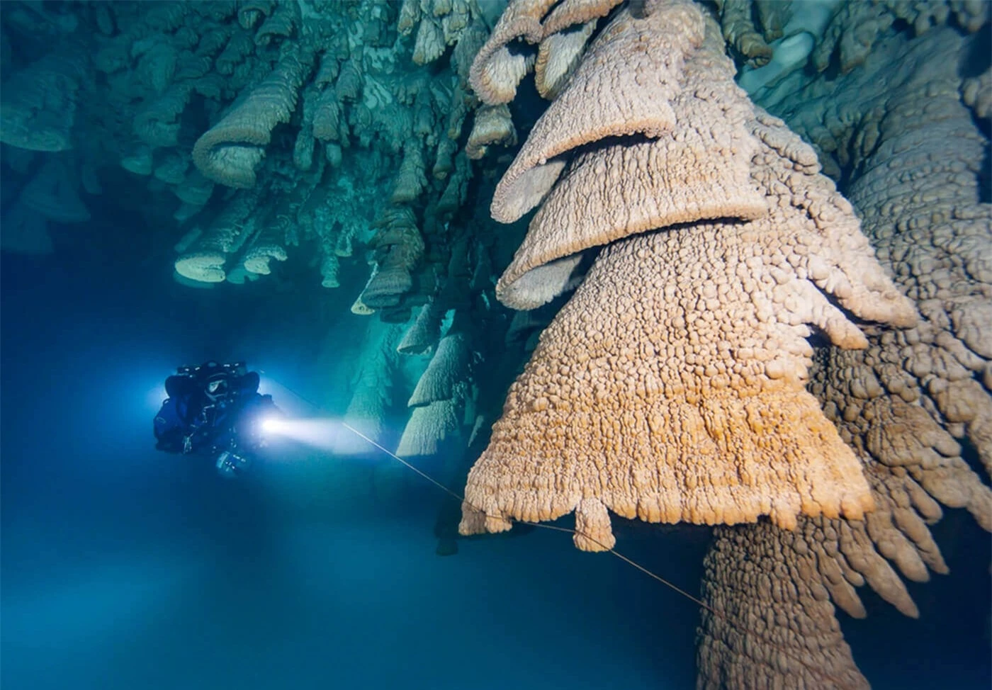 Khám phá hang thạch nhũ hình chuông “siêu độc” ở Mexico