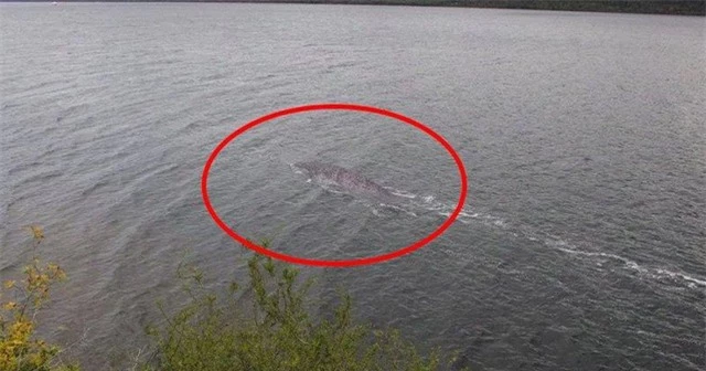 Quái vật hồ Loch Ness: Thực sự có thật hay là trò lừa bịp của loài người? - Ảnh 3.