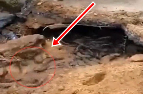 Vô tình phát hiện 1 miệng hang có mùi nồng nặc, tò mò đào ra, người công nhân hoảng hồn vì cảnh tượng ngay trước mắt