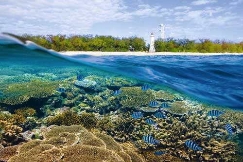Rạn san hô Great Barrier - Hệ thống đá ngầm lớn nhất hành tinh