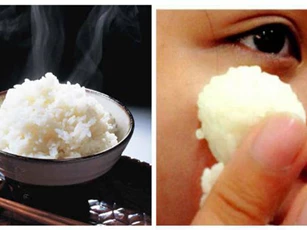 Trị mụn đầu đen bằng cơm nóng bạn đã biết?