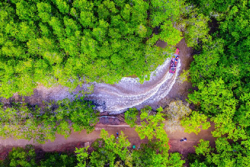 Khám phá "lá phổi xanh" Cần Giờ