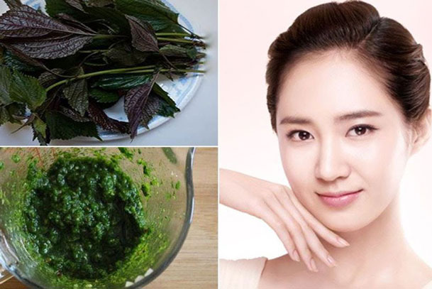 Sai lầm khi làm đẹp da bằng lá tía tô chị em nên biết