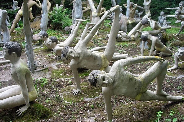 Khu rừng ma mị khiến ai bước vào cũng rợn tóc gáy