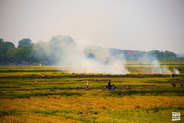 Hà Nội: Mục tiêu "ngừng đốt rơm rạ" khá phức tạp và chưa thành hiện thực
