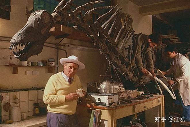 Cứ tưởng khám phá ra loài khủng long tí hon, ai ngờ rằng khi trưởng thành chúng lại nặng cả tấn - Ảnh 1.