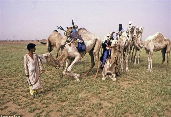 bo-lac-tuareg-03