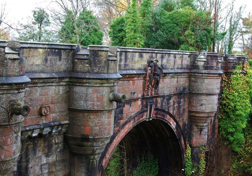 Khám phá cây cầu 'tử thần' với loài chó ở Anh