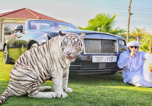 Khám phá 10 sự thật thú vị về UAE