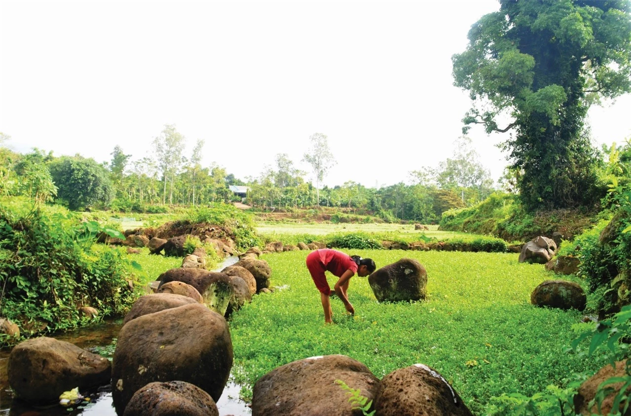 Giếng cổ 