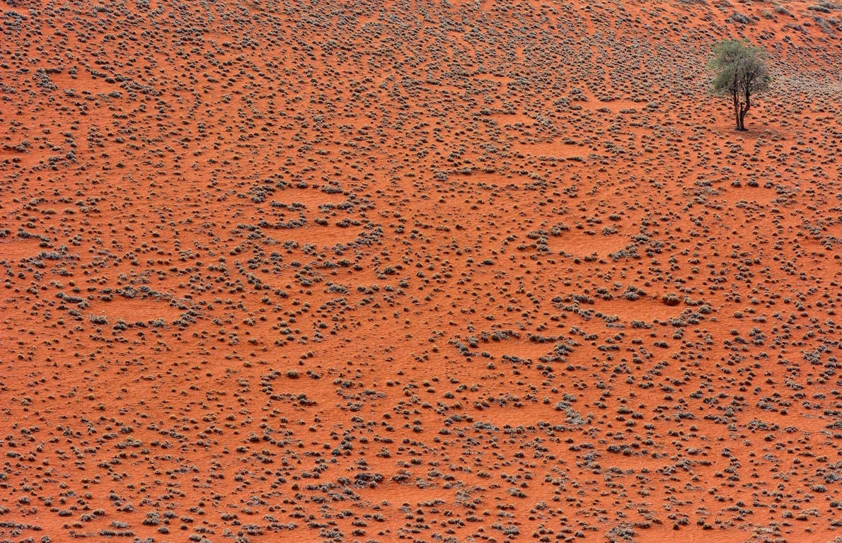 Vòng tròn cổ tích xuất hiện trên những vùng đất rộng lớn, khô cằn như sa mạc Namib ở châu Phi và một số vùng hẻo lánh tại Australia. Chúng có hình dạng vòng tròn đối xứng, được bao quanh bởi các thảm thực vật với kích thước lên đến 34,7 m. Các nhà khoa học cho rằng khi trời mưa, những vòng tròn cổ tích hoạt động như những hồ chứa nước.