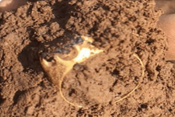 Đang chụp ảnh trên bãi biển thì thấy 1 thứ lấp lánh dưới cát, người đàn ông đào lên rồi suýt ngất khi biết đó là thứ gì