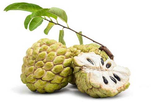 Bà bầu có nên ăn quả na không?