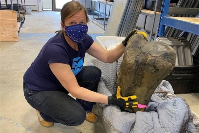 Đi tìm vàng, bất ngờ đào trúng 'kho báu' 30.000 năm tuổi khác ảnh 1