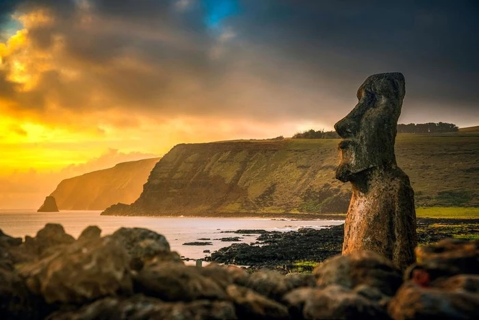 Moai là những bức tượng được tạc từ tro núi lửa cô đặc. Ảnh: Shutterstock.
