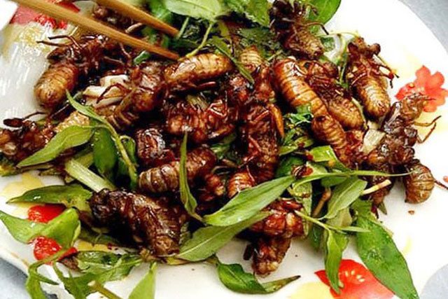 Món đặc sản thử thách lòng can đảm của người ăn ở vùng Long Khánh