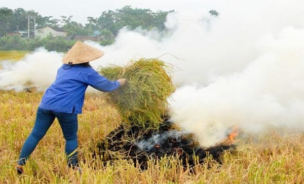 Bi&#x1EBF;n r&#x1A1;m r&#x1EA1; th&#xE0;nh h&#xE0;ng h&#xF3;a: Ng&#x1B0;&#x1EDD;i n&#xF4;ng d&#xE2;n kh&#xF4;ng th&#x1EC3; t&#x1EF1; gi&#x1EA3;i quy&#x1EBF;t 