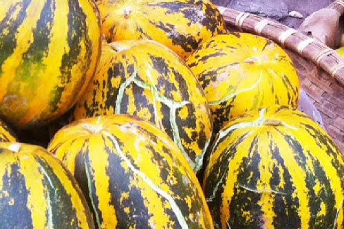 Chọn mua dưa bở chỉ cần nhìn vào đúng 1 điểm này đảm bảo “bách phát bách trúng”