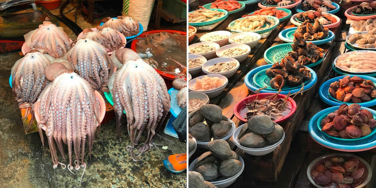 Khu chợ hải sản lớn nhất Hàn Quốc: Jagalchi là chợ đầu mối cung cấp lượng thủy hải sản khổng lồ cho toàn Busan và các thành phố lân cận khác. Khu chợ này rộng đến 65.000 m2, luôn huyên náo đêm ngày với đủ loại hải sản tươi rói với giá cả phải chăng. Ảnh: Misha145, _luigi_riccardi_.