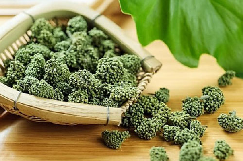 Nụ hoa tam thất và những lưu ý đặc biệt khi dùng