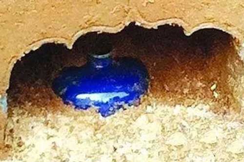 Khai quật mộ Cẩm Y Vệ phát hiện chai rượu mận bọn trộm coi thường bỏ lại: Trị giá 1 tỷ NDT