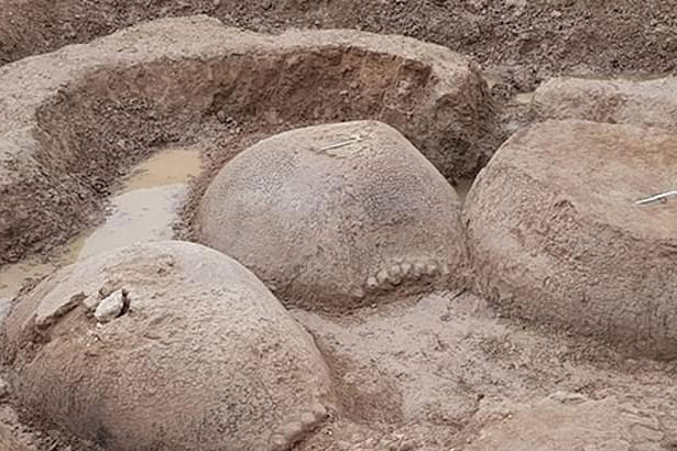 Lão nông phát hiện 2 “gò đất” to ở ven sông, nguồn gốc của chúng khiến ai cũng ngỡ ngàng