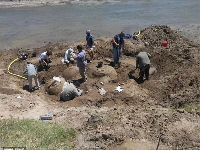 Lão nông phát hiện 2 “gò đất” to ở ven sông, nguồn gốc của chúng khiến ai cũng ngỡ ngàng - Ảnh 3.