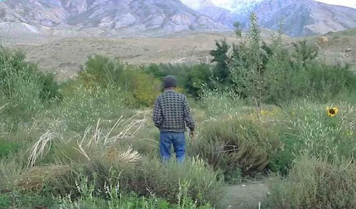 Người đàn ông dành 2 thập kỷ tạo ra ốc đảo xanh giữa sa mạc khô cằn