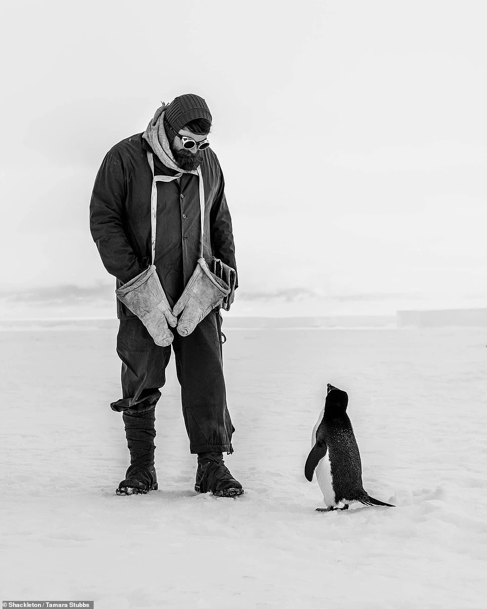 Nhiếp ảnh gia người Anh Tamara Stubbs giành giải nhất với tấm phẩm mang tên "Bức ảnh vượt thời gian". Trong ảnh, một con chim cánh cụt nhỏ tò mò nhìn nhà thám hiểm Nam Cực. "Tôi chụp bức ảnh năm 2019 và con chim cánh cụt bắt đầu tiến gần nhà khoa học. Cả hai nhìn nhau chằm chằm và tôi đã bắt được khoảnh khắc thân mật này", cô nói.