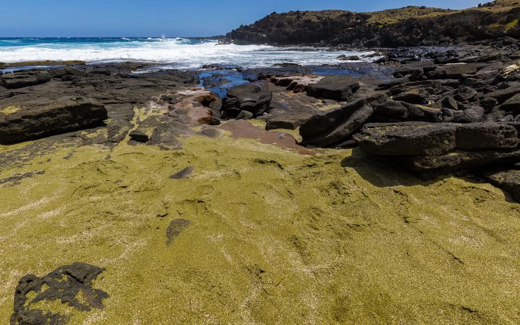 Bãi biển cát xanh Papakolea (Hawaii, Mỹ): Papakolea (còn được gọi là bãi biển Mahana) là bãi biển cát xanh độc đáo ở mũi phía nam của đảo lớn Hawaii. Nép mình trong một vịnh ở đáy nón núi Pu'u Mahana, du khách phải đi bộ khoảng 8 km đến bãi biển hẻo lánh này. Không có các cơ sở vật chất du lịch và sóng quá mạnh để bơi, tuy nhiên, điểm hấp dẫn của Papakolea là loại cát xanh hiếm, được tạo ra bởi các tinh thể olivin, một dạng trầm tích silicat của dung nham núi lửa. Bãi biển này là một trong 4 bãi biển màu xanh trên thế giới.