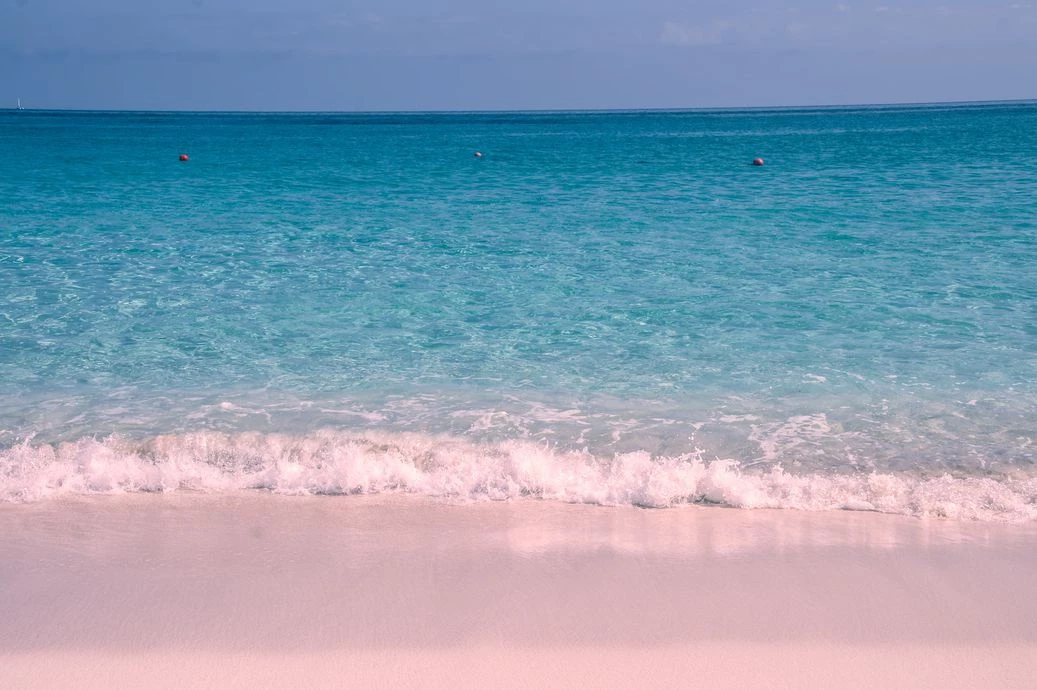 Bãi biển cát hồng đảo Harbour (Bahamas): Bãi biển dài hơn 4,8 km, nằm ở phía đông của đảo Harbour, là điểm lý tưởng để lặn với ống thở và bơi lội. Nhờ rạn san hô gần bờ, vùng nước ở đây khá tĩnh lặng và tương đối nông. Cát được làm từ các mảnh san hô, vỏ sò, đá và canxi cacbonat từ động vật không xương sống ở biển. Cũng giống vịnh Horseshoe của Bermuda, sắc hồng của cát ở bãi biển này đến từ Foraminifera.