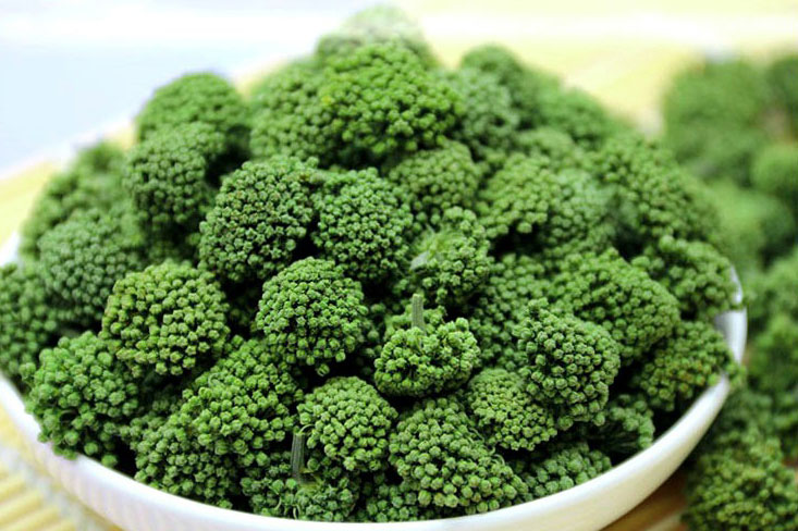 Nụ hoa tam thất có xứng là "thần dược" của thiên nhiên?