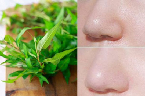 Se lỗ chân lông chỉ với loại rau rẻ tiền chưa hết 1.000 đồng