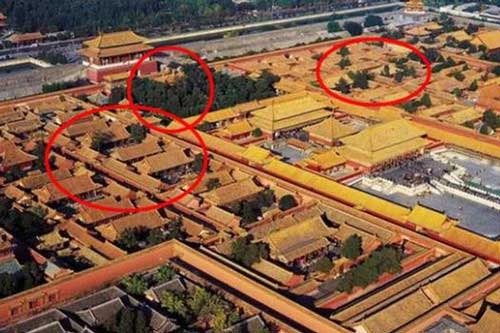 Cùng trong Tử Cấm Thành, tại sao có nơi um tùm cây cối, có nơi tuyệt đối cấm trồng cây?