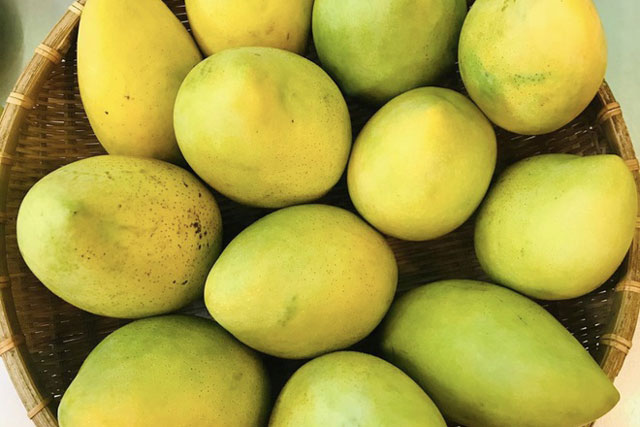 7 đặc sản trái cây nổi tiếng Việt Nam