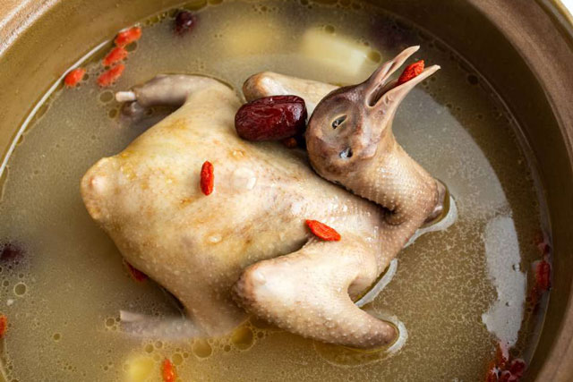 Đây là loài vật bổ gấp 9 lần thịt gà, được mệnh danh là "thuốc bổ thượng phẩm" giúp phụ nữ hồi xuân và "miễn dịch" nhiều loại bệnh