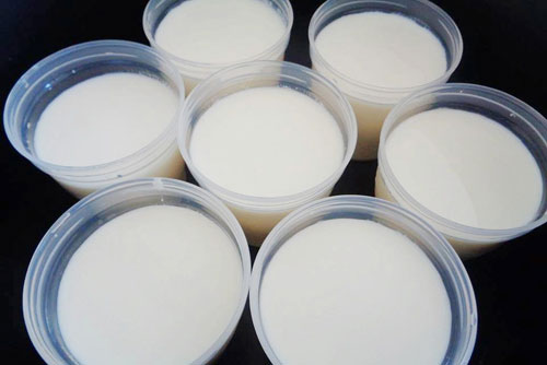 Tự tay làm sữa chua thơm ngon, ngọt mịn thiết đãi cả nhà ngày hè
