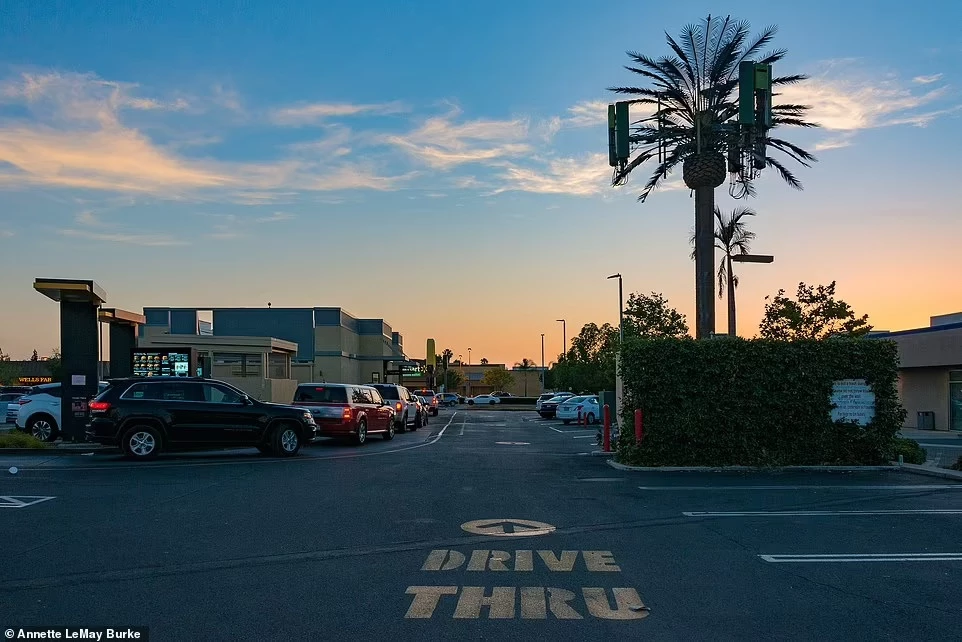 Cột phát sóng có hình cây cọ ở La Mesa, California.