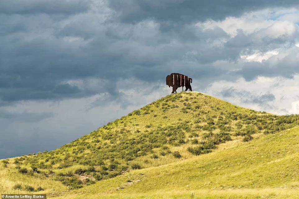 Cách "ngụy trang" phụ thuộc vào khí hậu, địa hình... Những trạm hình cây cọ thường nằm ở vùng ấm hơn. Trong khi đó, hình ảnh cây thông được sử dụng ở vùng khí hậu lạnh hơn. Một số nơi dùng những hình ảnh lạ mắt khác. Trong ảnh, trạm thu phát sóng di động hình con bò rừng ở Colorado.